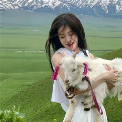 芭比蝴蝶仙子和精灵公主